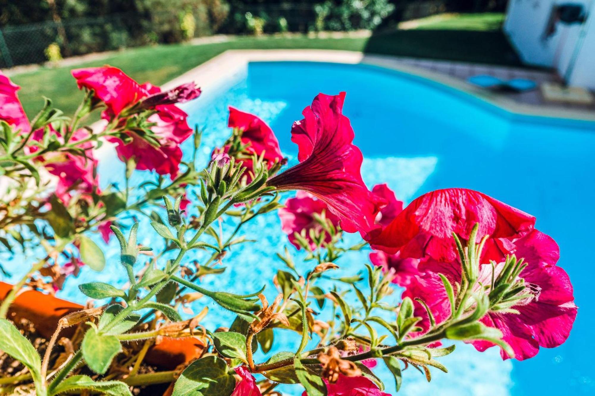 Estalagem Bela Vista Bed & Breakfast Mondim de Basto Dış mekan fotoğraf